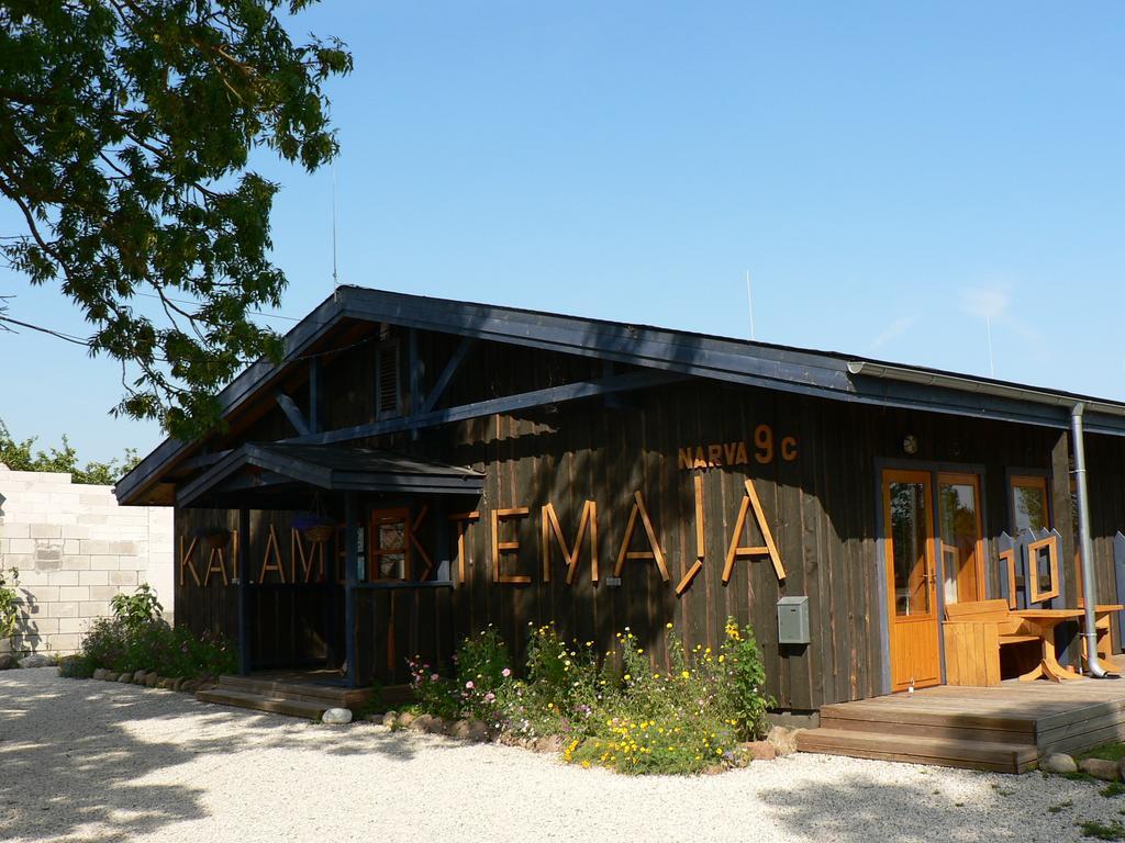 Hostel Kalameeste Maja Mustvee Exterior photo